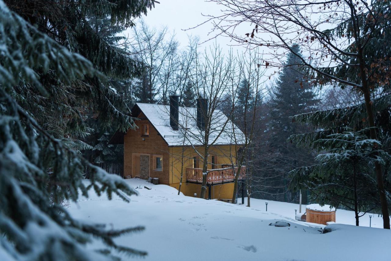 Chata Jarzebata Wisla Exterior photo