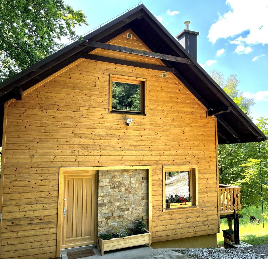 Chata Jarzebata Wisla Exterior photo